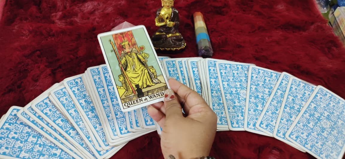 WhatsApp Image 2026-02-28 at 7.26.40 PM